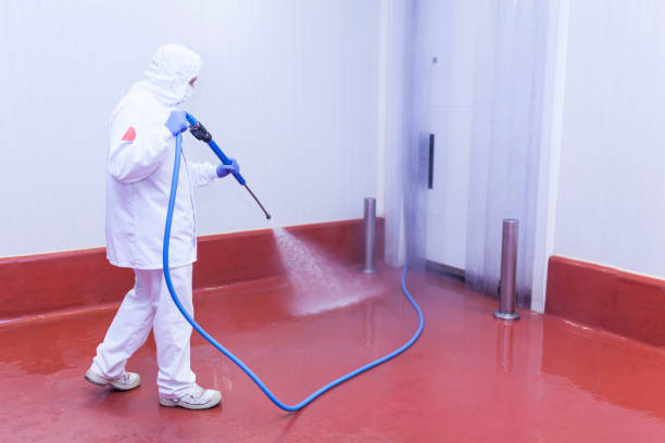 Best Playground Equipment Cleaning  in Mckee City, NJ